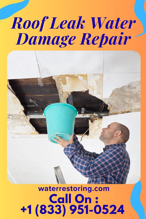 Roof Leak Water Damage Repair in Oconto, NE